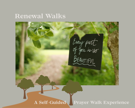 Renewal Walks